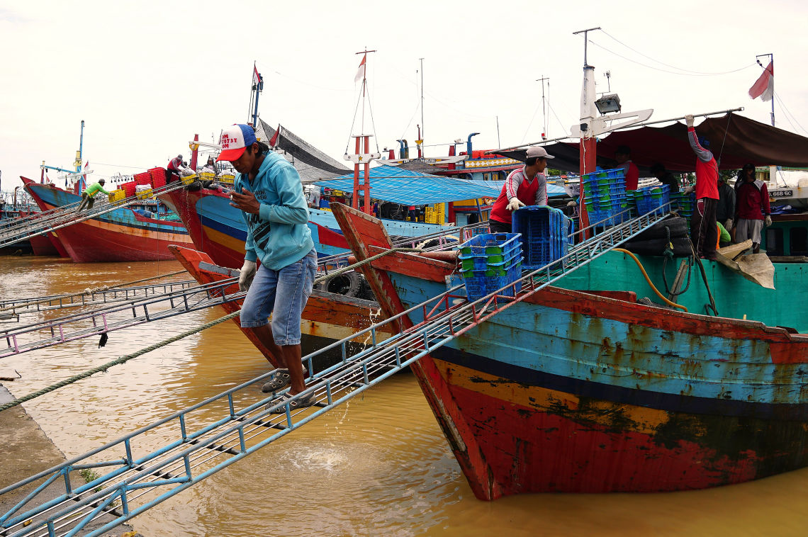 man unloads fish from boat